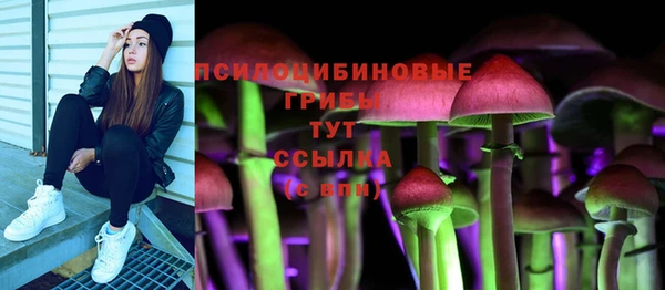 PSILOCYBIN Верхнеуральск