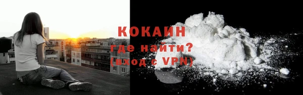 Альфа ПВП Верея