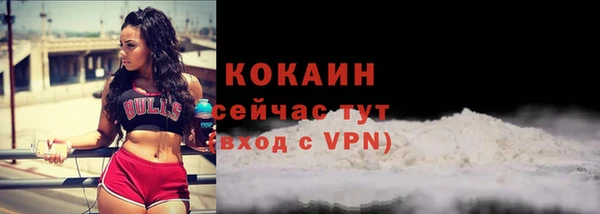 Альфа ПВП Верея