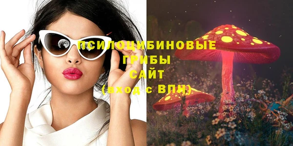СК Волоколамск