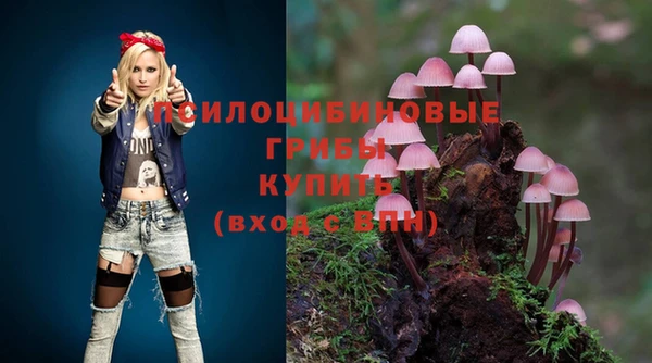 PSILOCYBIN Верхнеуральск