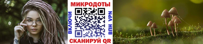 OMG рабочий сайт  Геленджик  Галлюциногенные грибы Magic Shrooms 